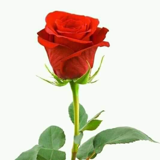 ❤️❤️❤️❤️❤️