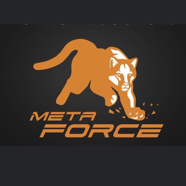 META FORCE