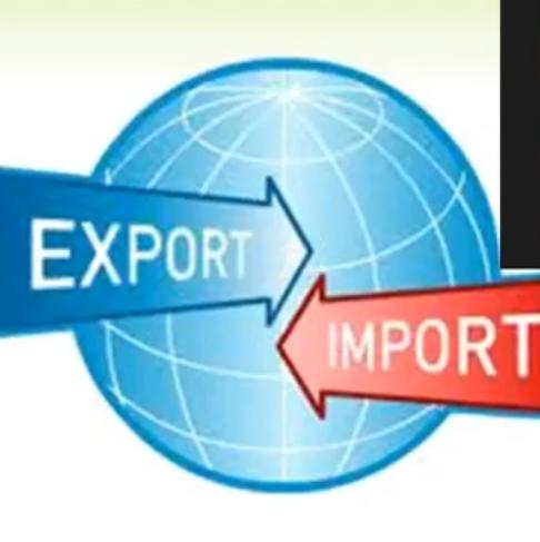 Import  export dealer