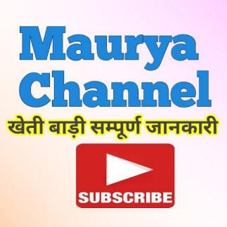 Maurya Channel