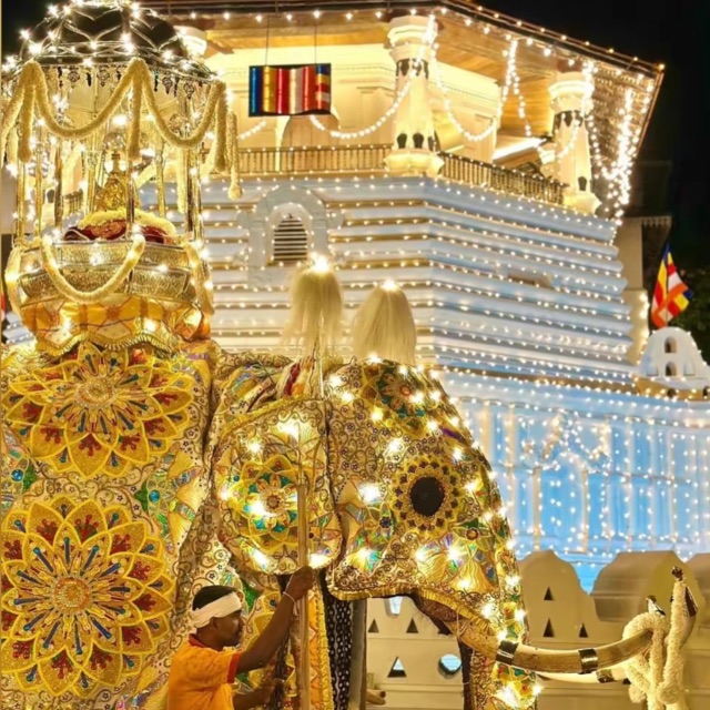 2000න් පස්සේ කොල්ලෝ කෙල්ලෝ