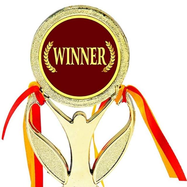 All ID AEPS PROVIDER