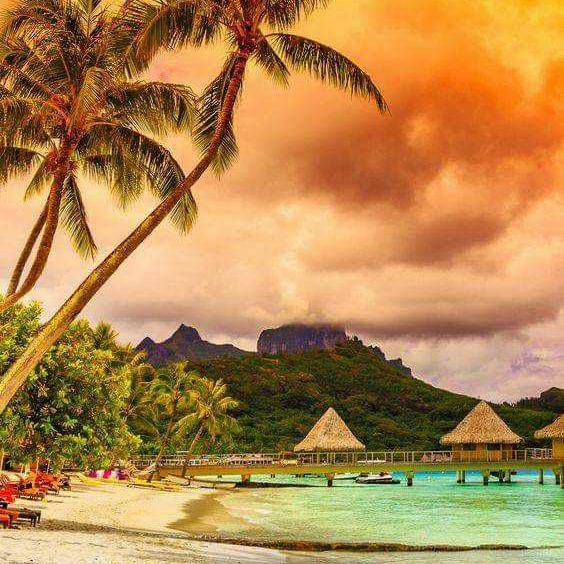 🔥Earn Money Online🔥