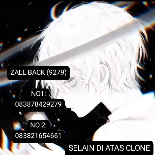 STOK NEW ZALL BACK¹