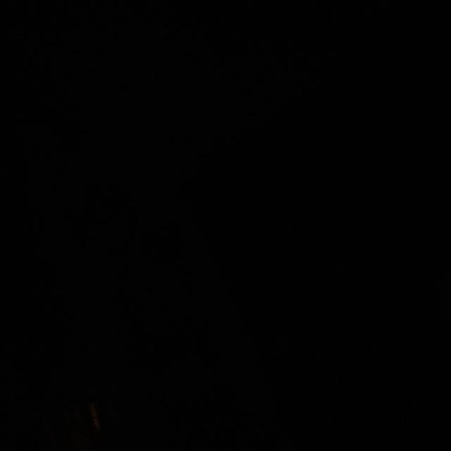 PLEASE DONT FOLLOW ?