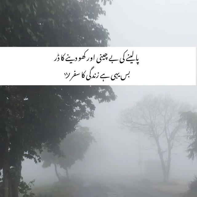 ذنـﹿٰٰٰٖٖٖٜ۬ﹿٰٰٖٖٜ۬ﹻـد گـﹿٰٰٰٖٖٖٜ۬ﹿٰٰٖٖٜ۬ﹻـی کاسـﹿٰٰٰٖٖٖٜ۬ﹿٰٰٖٖٜ۬ﹻـفـﹿٰٰٰٖٖٖٜ۬ﹿٰٰٖٖٜ۬ﹻـر