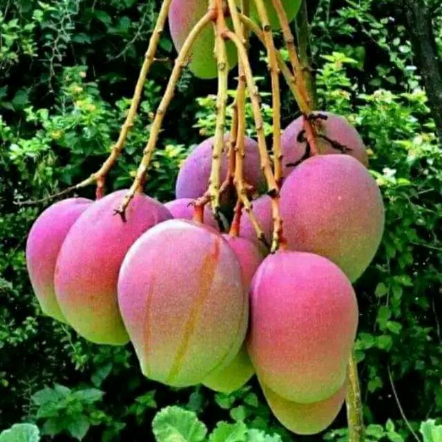 ??|»★2017★«|??|(+91)