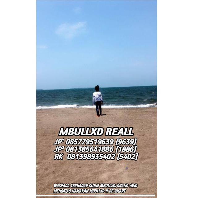 STOK¹ || MBULLXD X OWNER