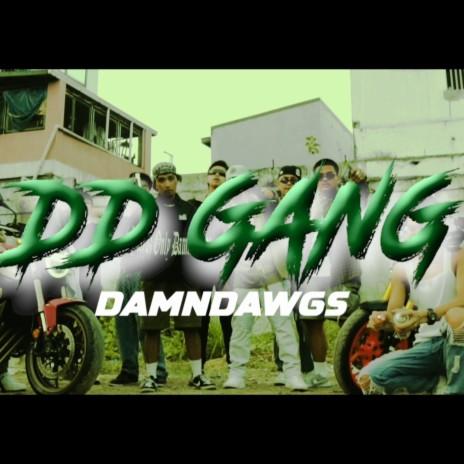 +。:.゚ᴅᴅ๕ꋬ?๕\ (•◡•) /