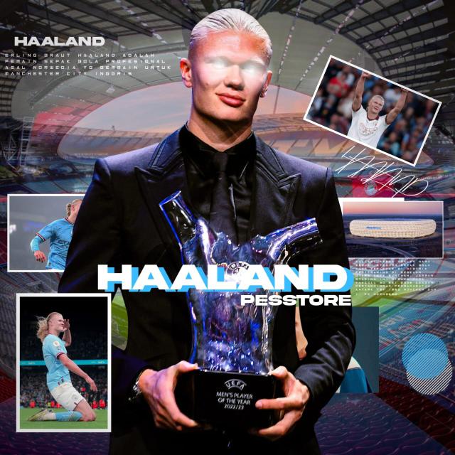 STOCK²||Haland pesstore