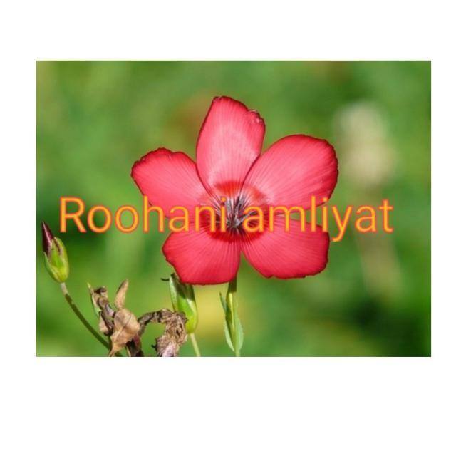 Roohani amliyate sulemani