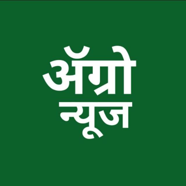 ॲग्रो न्यूज 14