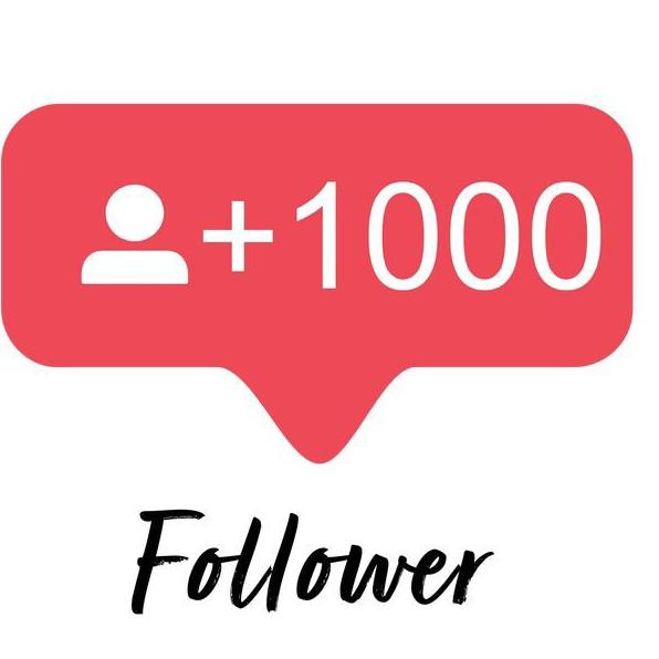 Instagram followers