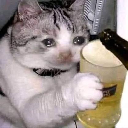 ♡ Chat Hub