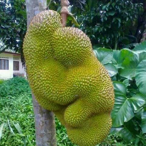 Environment protection ??