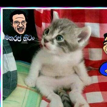 රාජධානිය