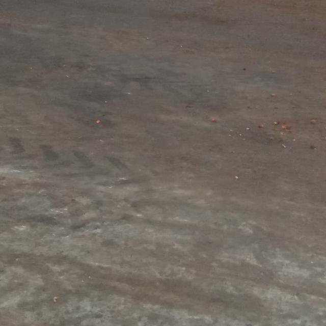 GRUP BERBAGI ITU INDAH???