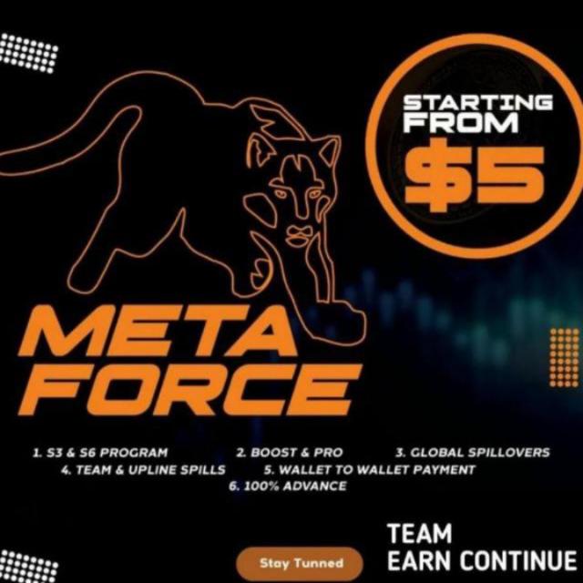 Online earning Meta force