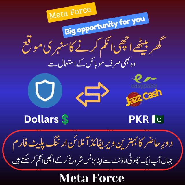 ONLINE WORK (HOME BASE OPURTUNITY) ???