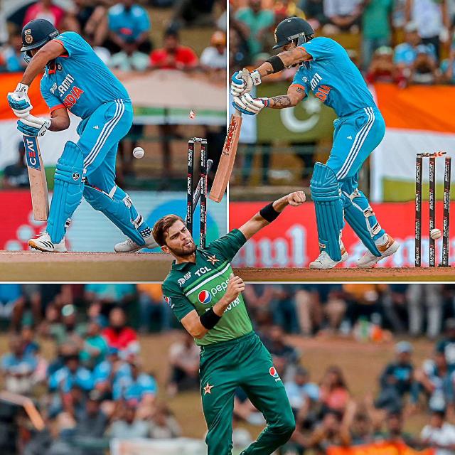 CRICKET UPDATES🏏