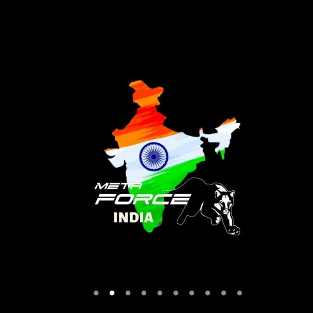 META FORCE BLOCK CHAIN