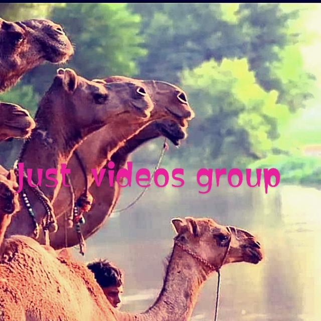 JUST VIDEo GroUp?
