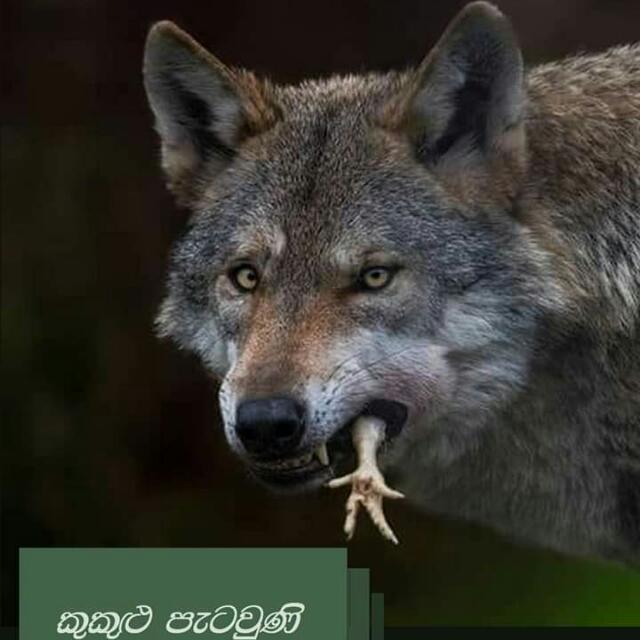 විමුක්ති