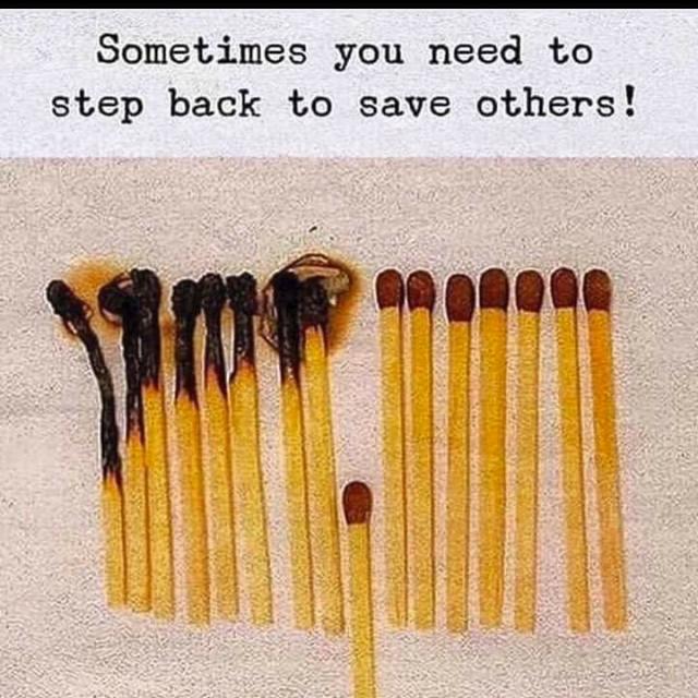 All member video  send