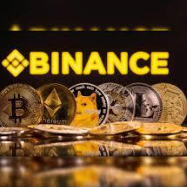 BINANCE INVESTMENT MILLIONAIRE EARNERS ??