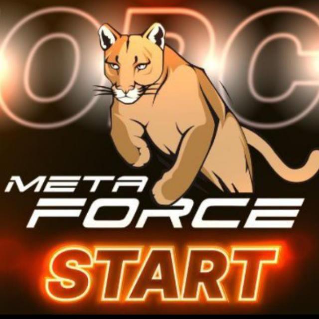 Meta force earning