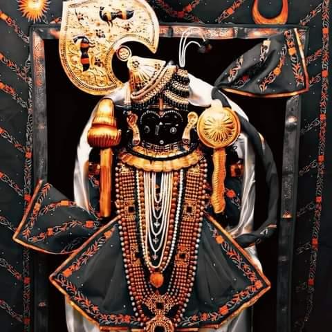 🚩જય દ્વારિકાધીશ🚩