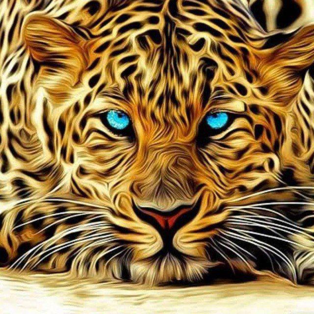 SHREE SAI GROUP LINK JOIN