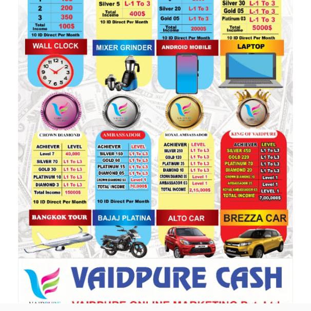 Vaidpure cash online business