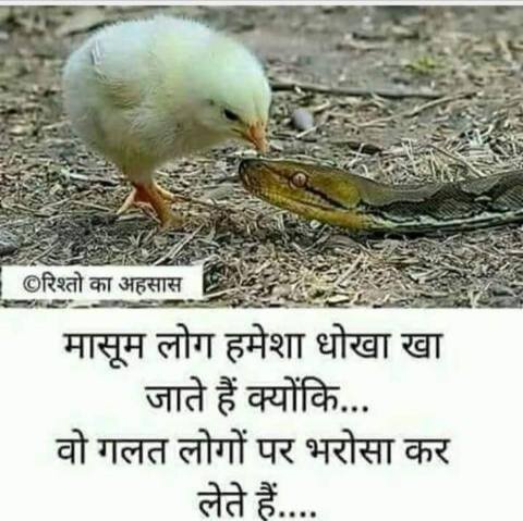 Comdey group