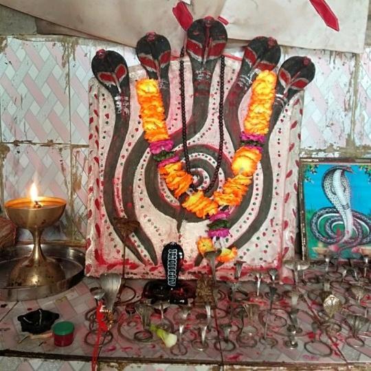 ♕ᏦᏆᑎᏀ ᏀᝪᏀᗩ࿐