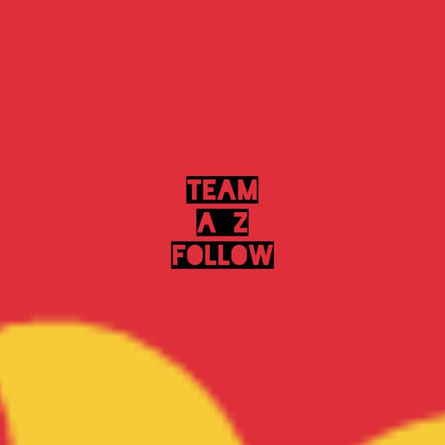 Instagram followers