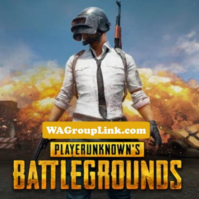 PUBG Videos