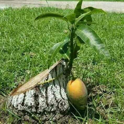 sabhee link saajha karen