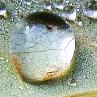 ?​?​?​?​?​?