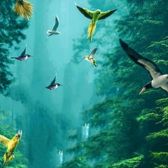 Watch time vs watch time