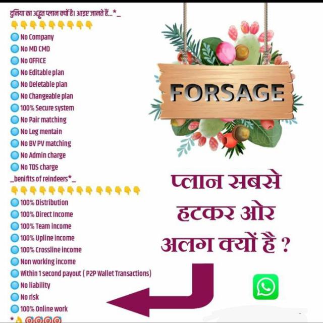 🦁Forsage Tigers 🦁