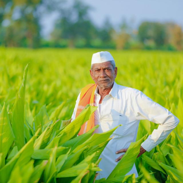 🚨शेतकरी ग्रुप महाराष्ट्र राज्य🚨