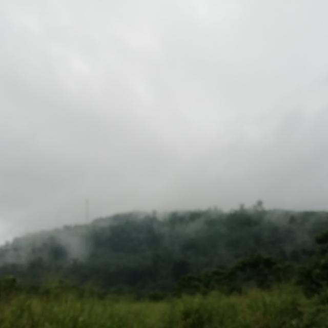 ගමේ පන්සල