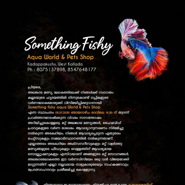 Something fishy aquaworld