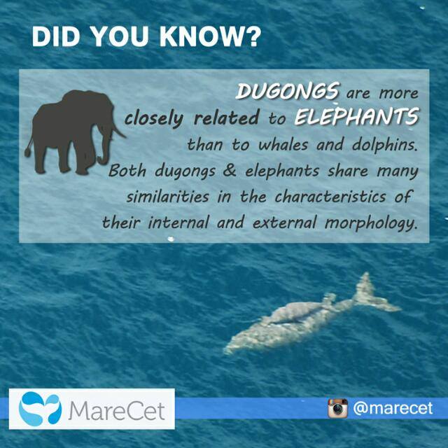 did_you_know_facts___