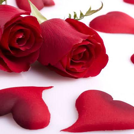 Beautiful Love3 🎁🎁❤️🕊️🌹🌹🎁🎁🎁