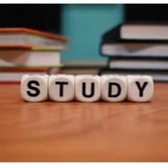 Study only 📖📖