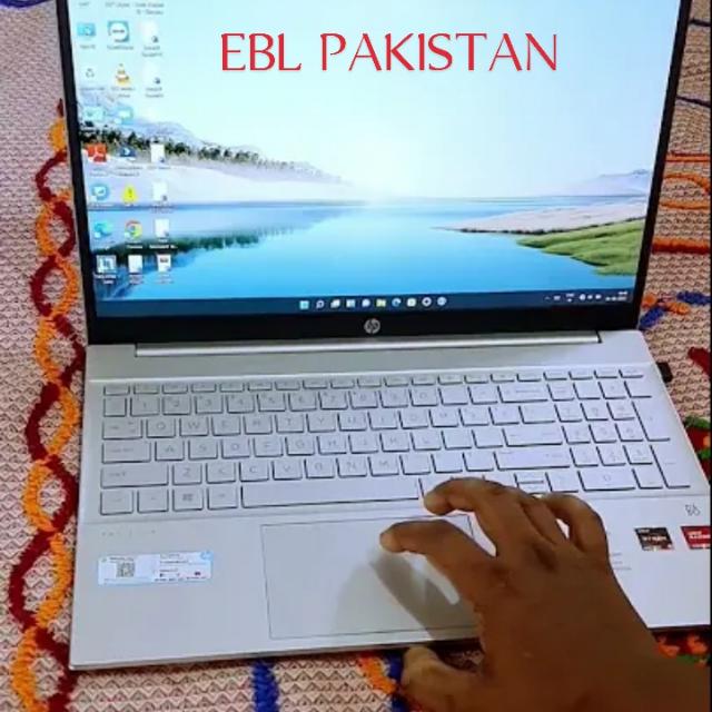 Real online earnings ???