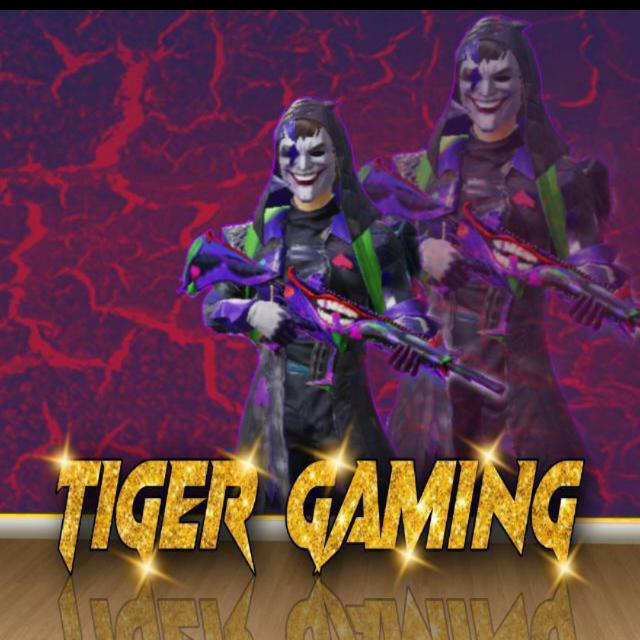 🚘TIGER GAMING STORE🚘((7))