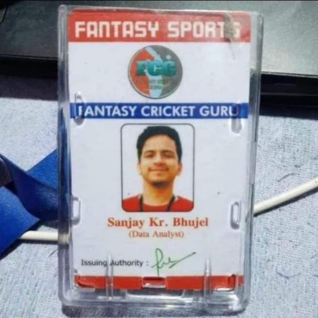 Dream 11 expert